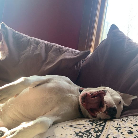 Meet your Posher, Caro - Picture 4 of 4